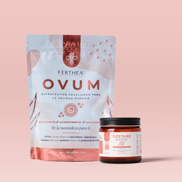 KIT 360 ¡PREVENTA! Envíos a partir del 9 de junio
